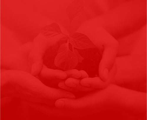 上海網(wǎng)絡(luò)公司千選科技